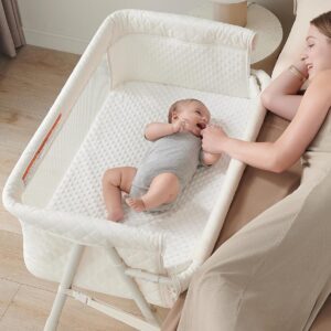 Baby in bassinet beside sleeping parent.